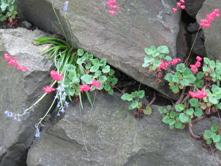 restaurant PAZ of Torshavn